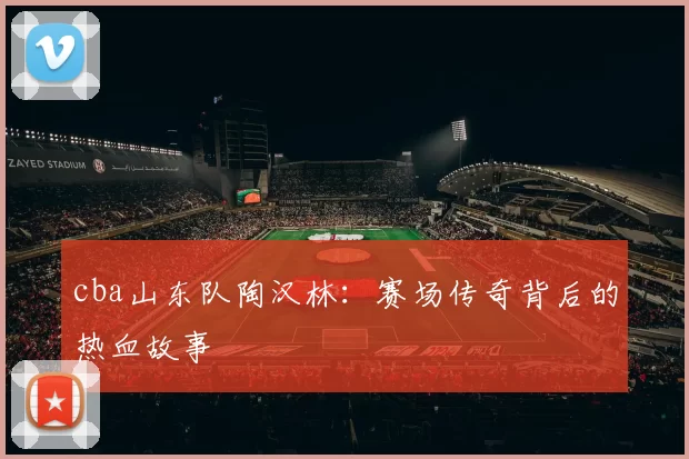 cba山东队陶汉林：赛场传奇背后的热血故事