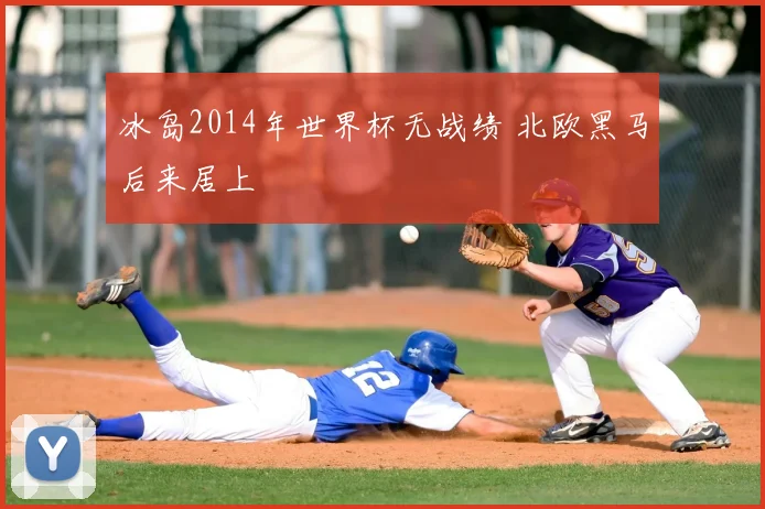 冰岛2014年世界杯无战绩 北欧黑马后来居上