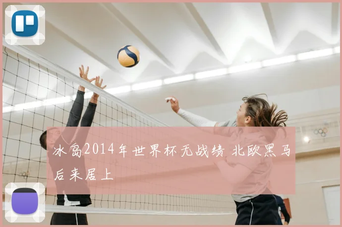 冰岛2014年世界杯无战绩 北欧黑马后来居上