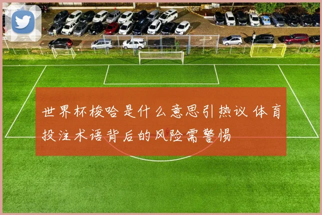 世界杯梭哈是什么意思引热议 体育投注术语背后的风险需警惕